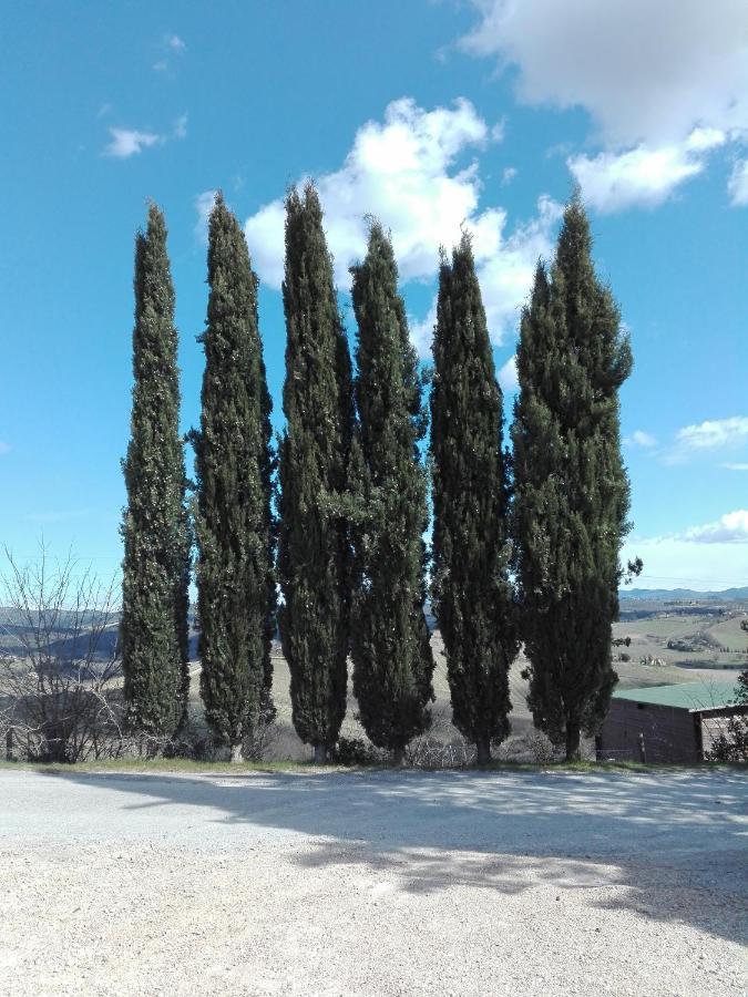 Country House Martina Castelnuovo Berardenga Dış mekan fotoğraf
